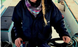 Great White Sharks scarcity in Gansbaai